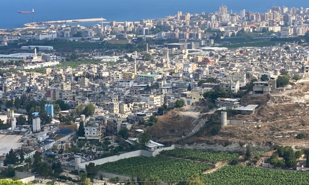 صيدا المستباحة: جرحٌ وجرمٌ./ نادين خزعل