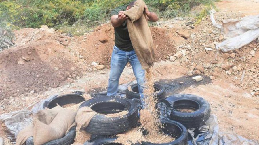 لبنان | تلفُ كميّة من المخدّرات في بصاليم