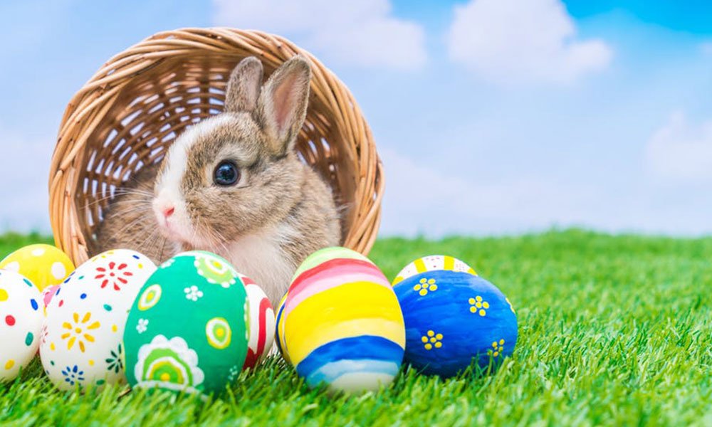 كيف سيكون طقس عيد الفصح ؟