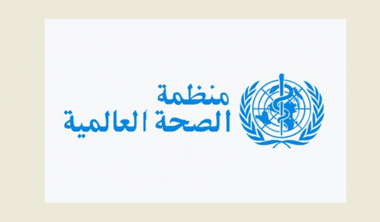 تحسّبًا للحرب: مستلزمات طبية وأدوية تصل إلى لبنان