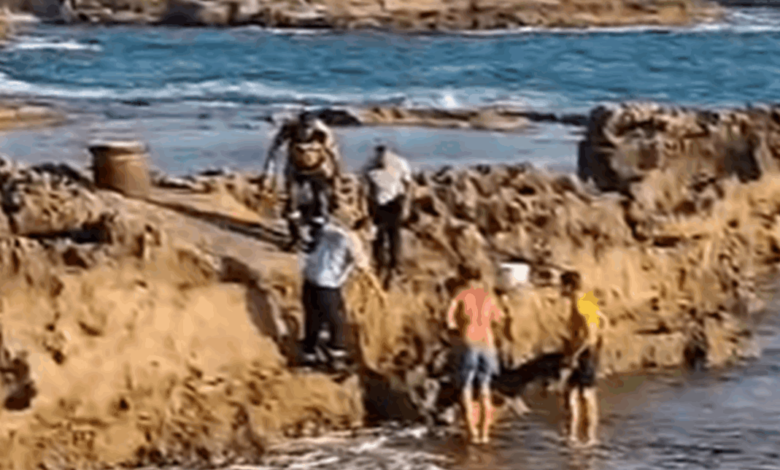 جثة بالقرب من شركة في شكا .. ماذا في التفاصيل ؟