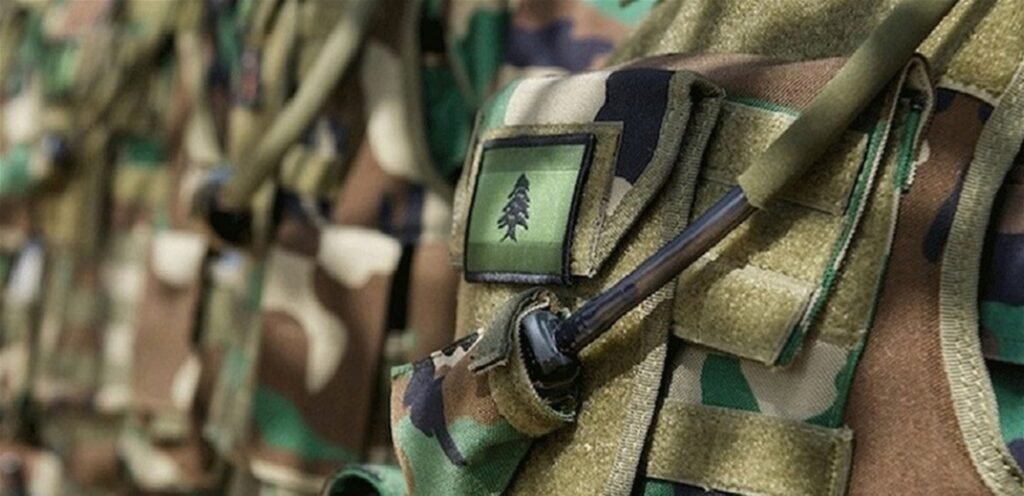 في البقاع.. 30 سوريًا بـ قبضة الجيش!