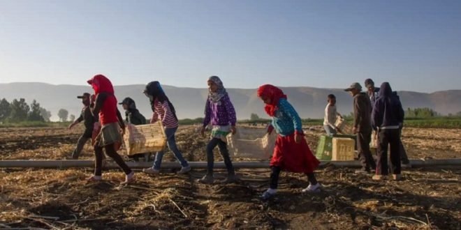 170 ألف ”سوري“ فروا إلى لبنان بعد سقوط نظام الأسد!