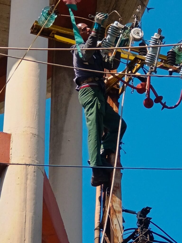 حركة حماس تقوم بإصلاح التمديدات الكهربائية لبئري مياه في عين الحلوة
