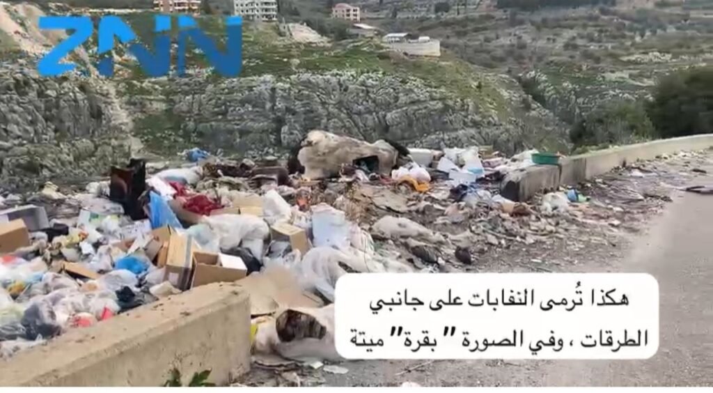 فيديو – كارثة بيئية وصحية: مكب نفايات للأبقار النافقة بين عنقون وكفرحتى يهدد السلامة العامة