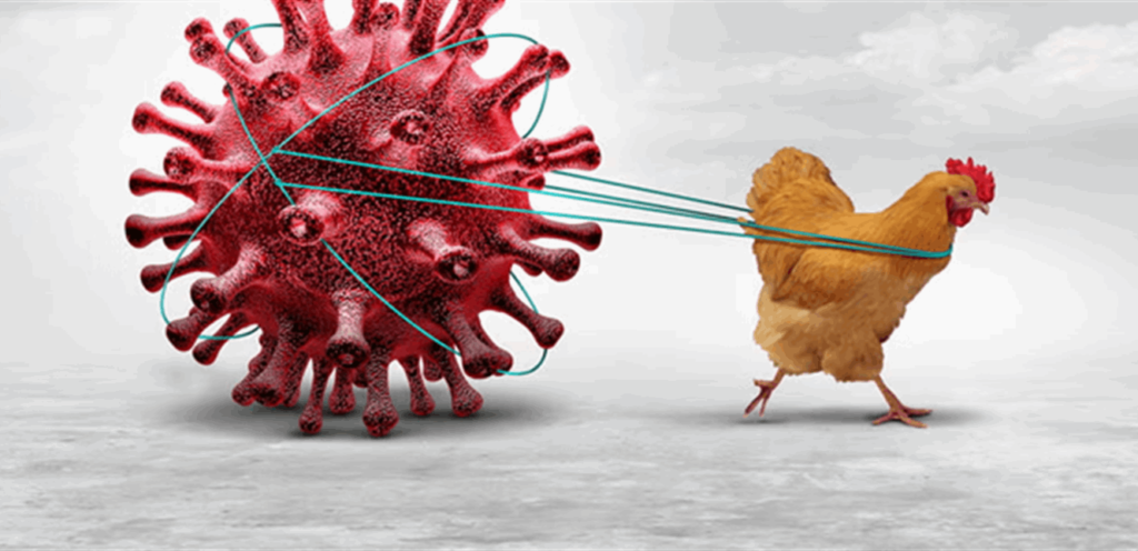 فيروس “H5N1”.. العالم أمام وباء جديد “قاتل” هكذا يُمكن إيقافه!