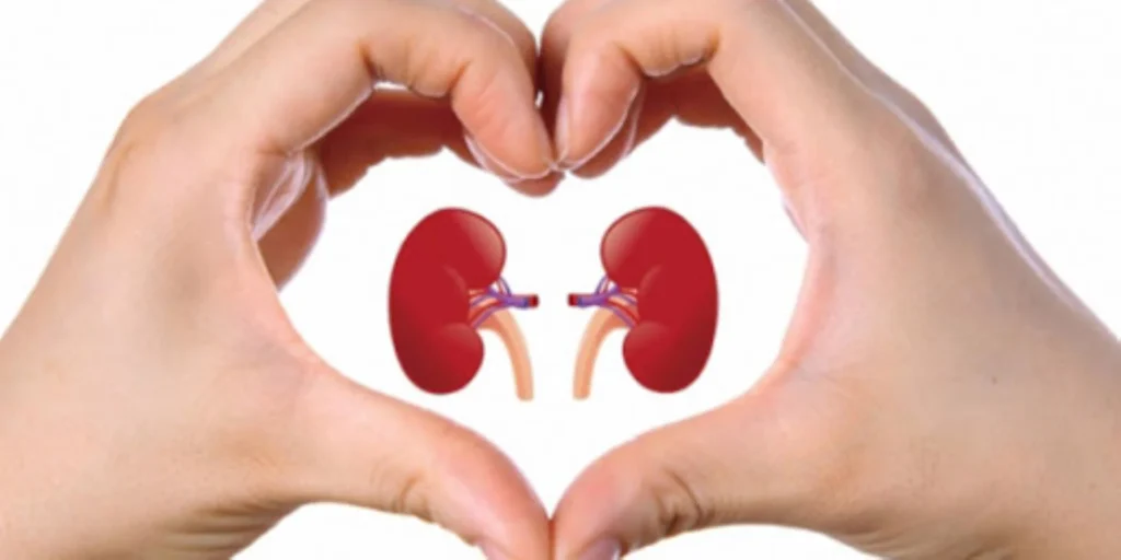 7 عادات شائعة تضر بـ”الكلى“.. بينها التدخين وقلّة النوم!
