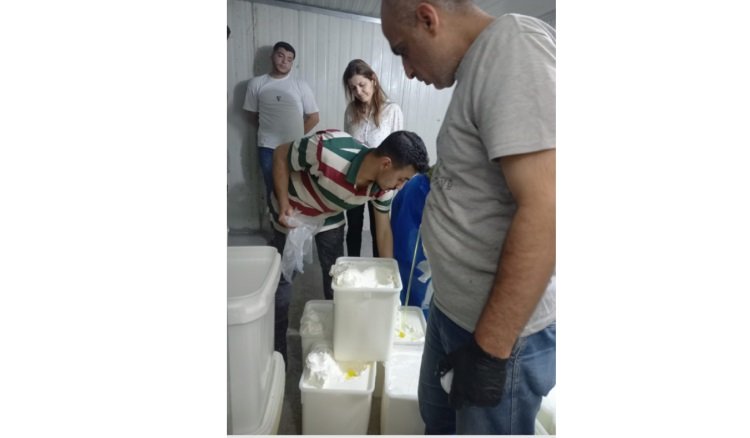 بعد ثبوت مخالفة جرثومية.. محضر ضبط في معمل ألبان وأجبان!