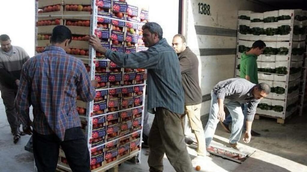 بالصّور ـ شحنات زراعية مهرّبة.. وفرض غرامات بالملايين!