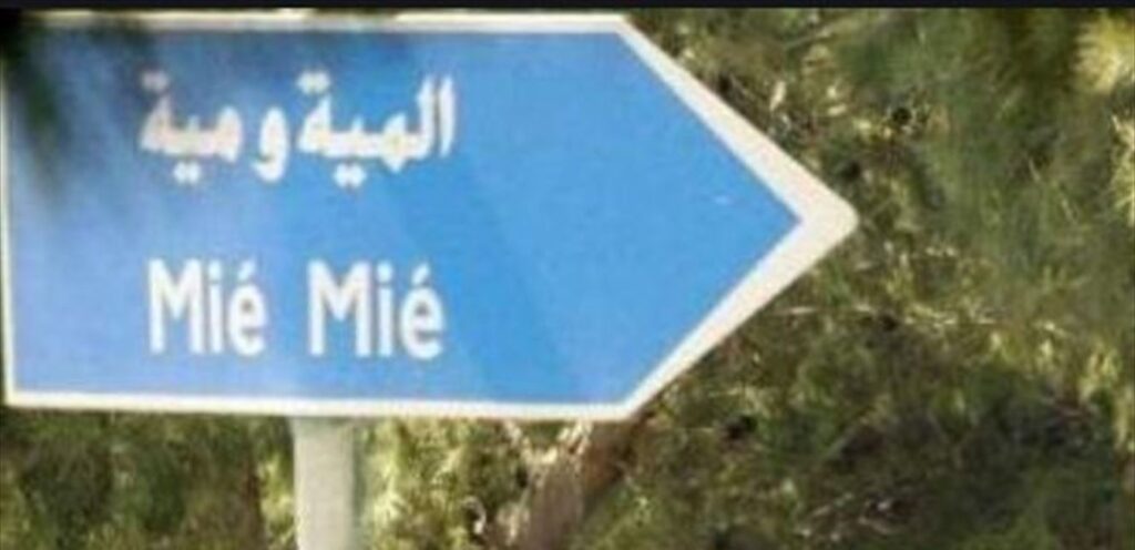 المية ومية قالت كلمتها: فوز كامل للائحة ‘المية ومية مسؤوليتك’ بدعم العائلات والمهندس مارون سيقلي