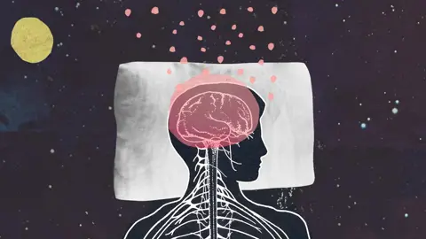 “غسّالة دماغ ليلية”.. كيف ينظف النوم عقولنا؟
