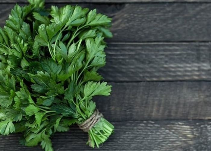 إحذروا.. نبتة طبيعية تُشبه البقدونس تقتل مَن يتذوقها!