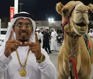 ملياردير إماراتي صنع طقم أسنان ذهبي لناقته!