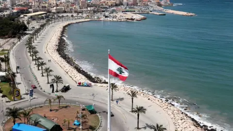 بالفيديو ـ في مدينة صور: بسبب العاصفة.. سقوط شجرة!