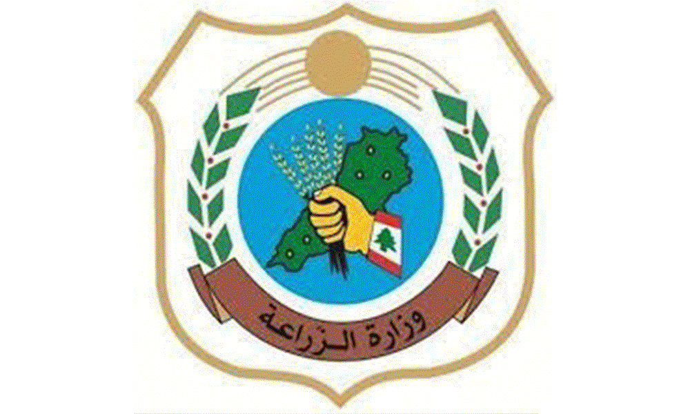 وزارة الزراعة تُطلق برنامج لتوزيع غراس الزيتون في الجنوب!