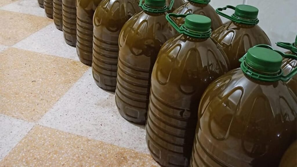 في صيدا: زيت زيتون “مغشوش”!