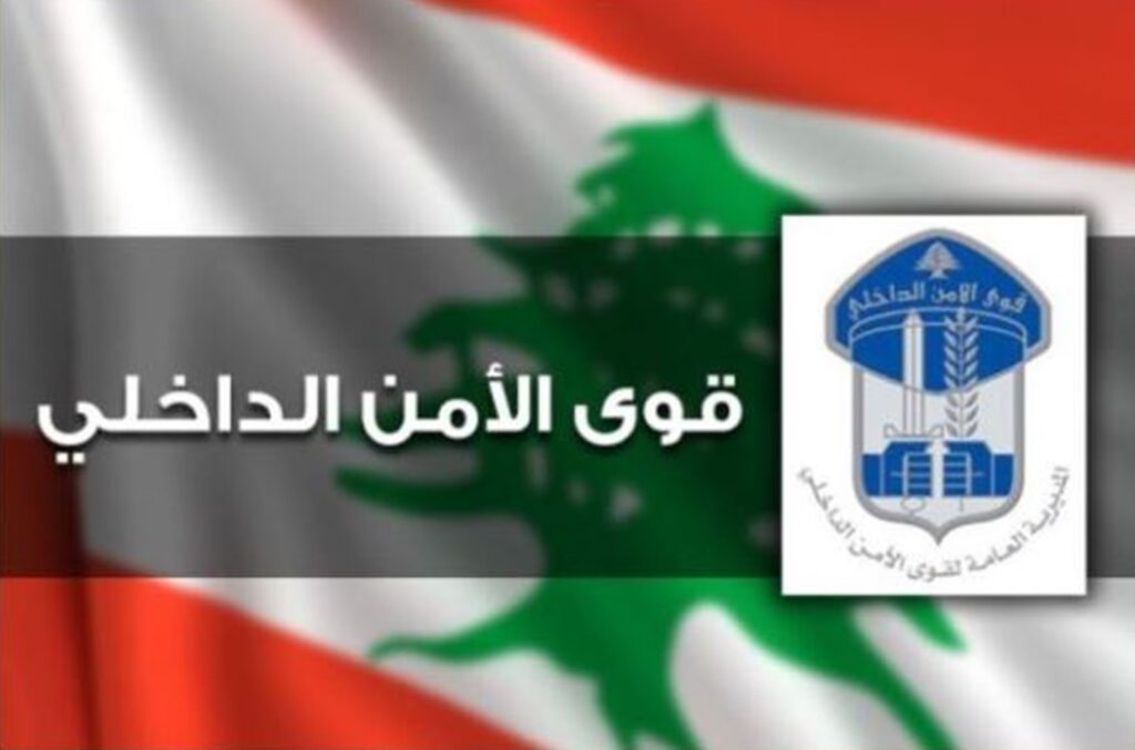 على خلفية شتمه.. مصري يطعن شابًا لبنانيًا في عمشيت!