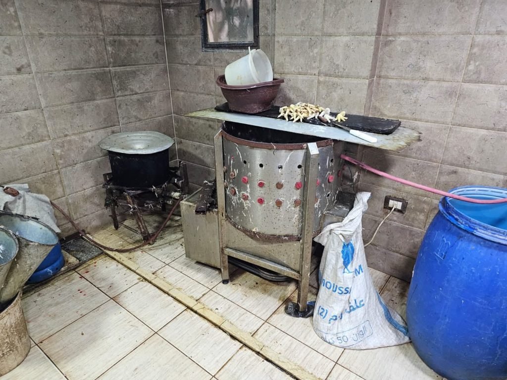 بالصّور ـ لا نظافة.. فضيحة دجاج في برج الشمالي: مخالفة تهدّد الصحة!